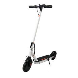 TROTTINETTE ÉLECTRIQUE...