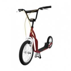 TROTTINETTE KB2 (1)