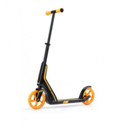 TROTTINETTE 8" PRO (1)