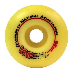 DNA ROUE LOGO 62MM (1)